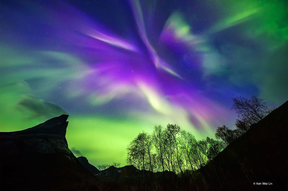 Color Photo Editor: Make Your Images Shine