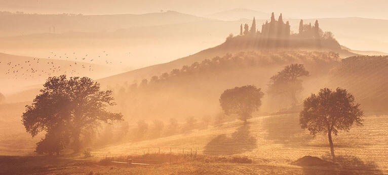 Noise Reduction Made Easy With Luminar 4(19)