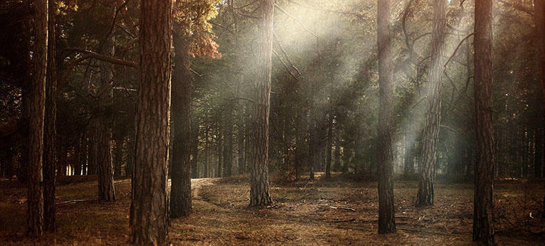 Blend Images and Create Double Exposure Artworks(20)