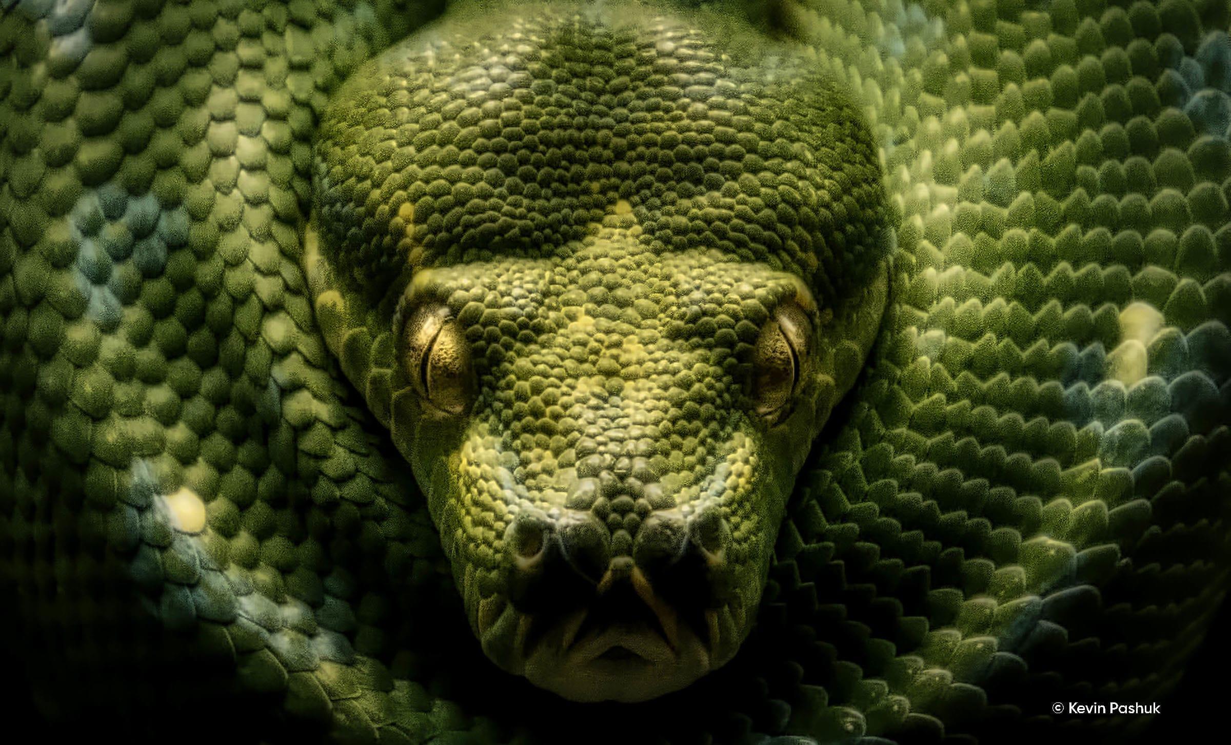 Noise Reduction Made Easy With Luminar 4(15)