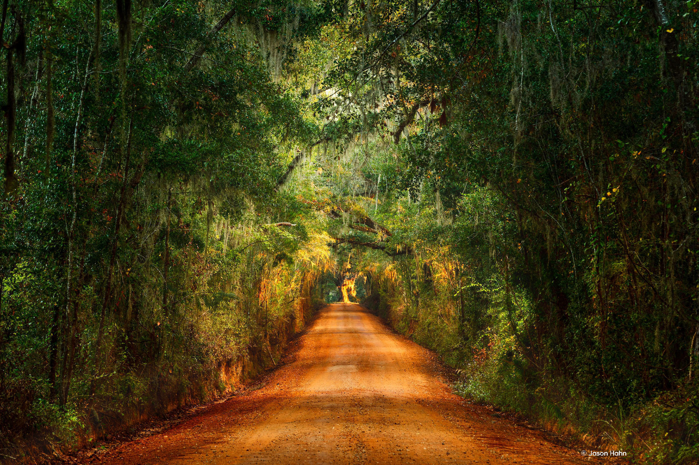 Luminar 4: Give Your Images The Best Look With a Professional Photo Enhancer(3)