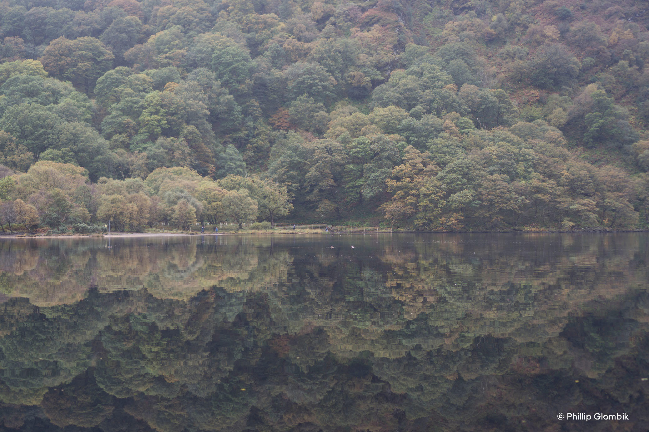 Luminar 4: Give Your Images The Best Look With a Professional Photo Enhancer(11)