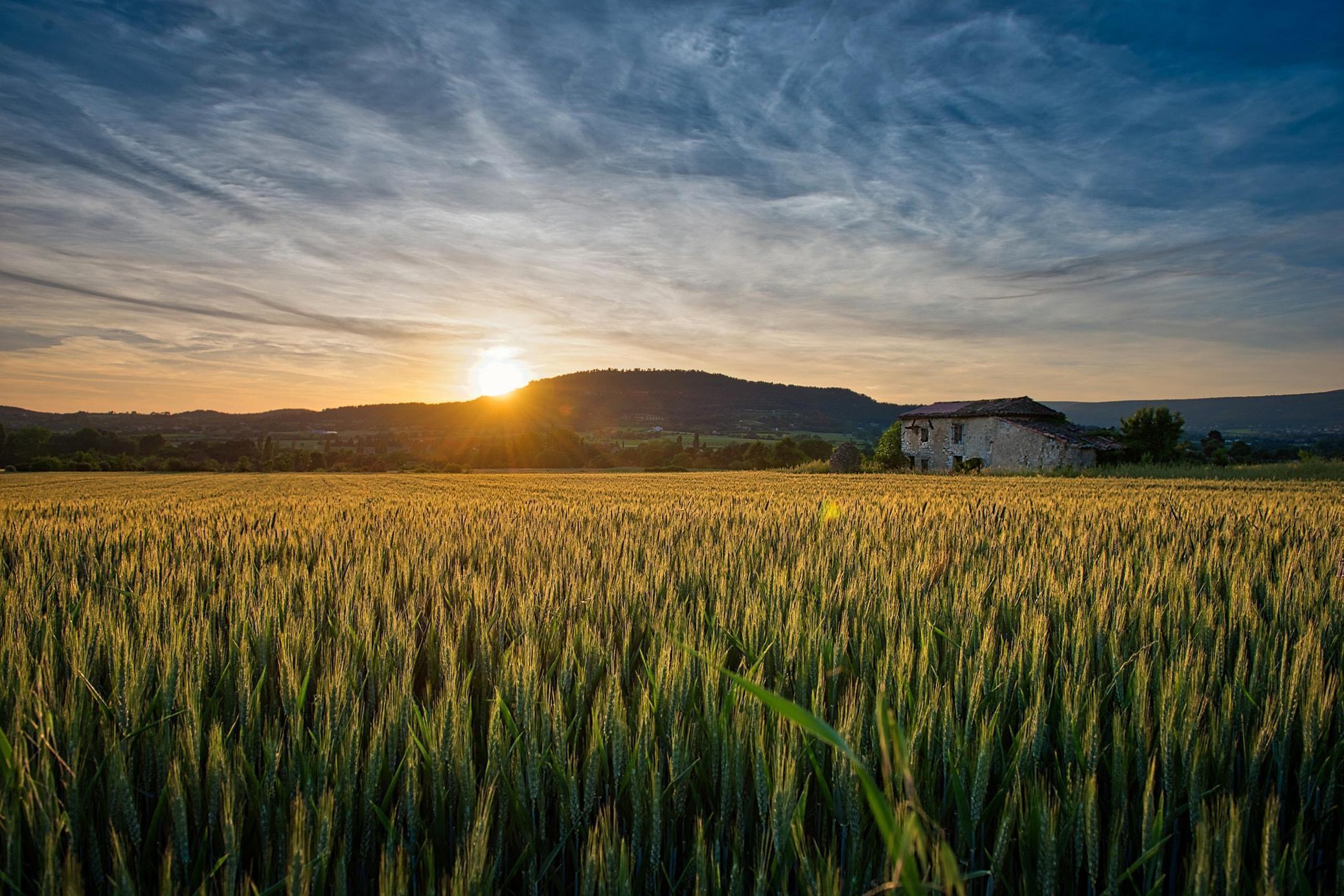 Luminar 4: Give Your Images The Best Look With a Professional Photo Enhancer(8)