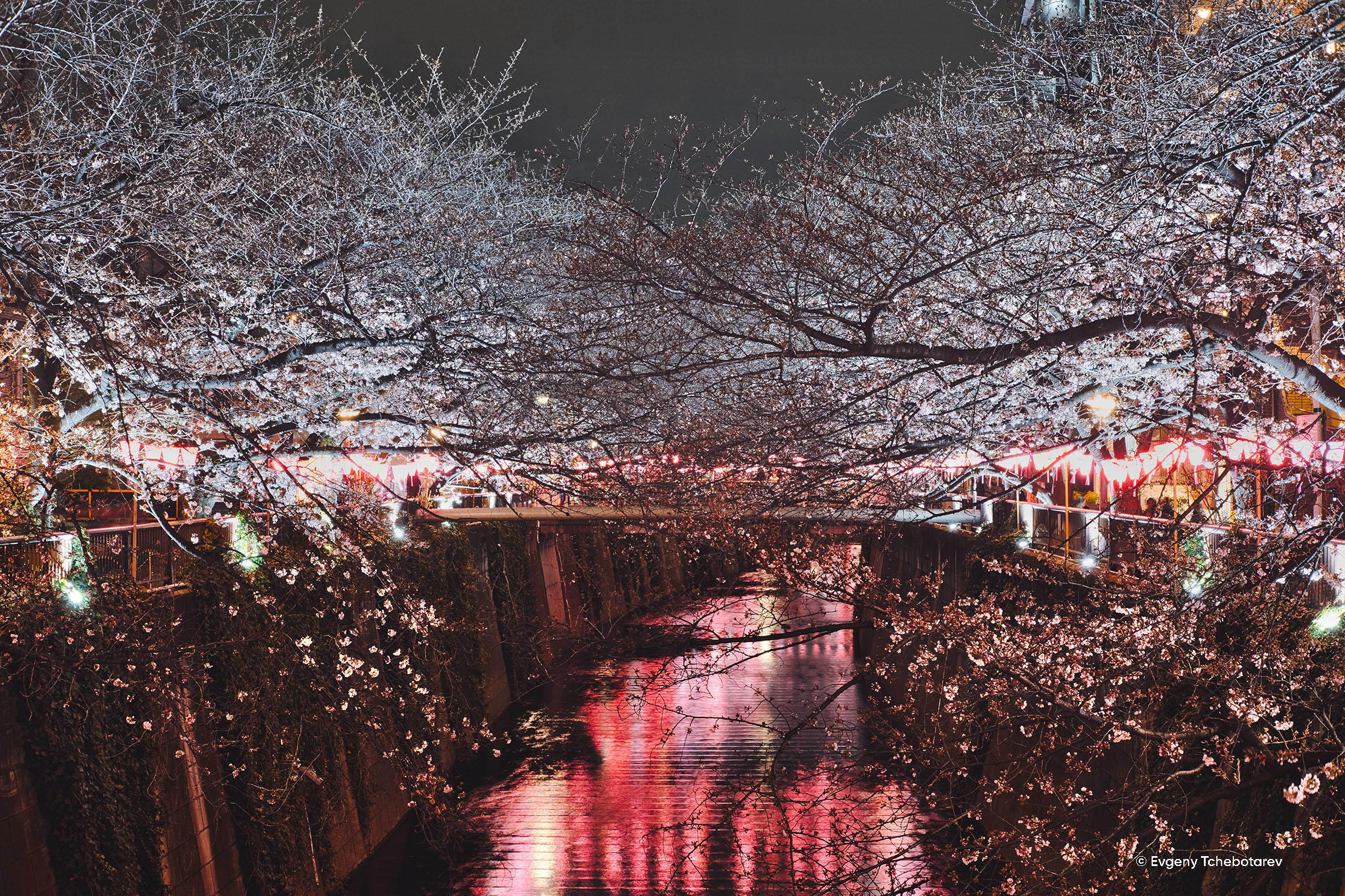 Luminar 4: Give Your Images The Best Look With a Professional Photo Enhancer(5)