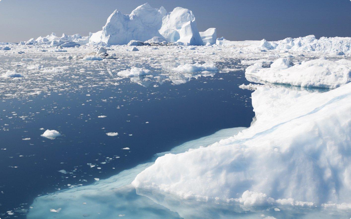 Sharpen an Image With Minimum Effort Using Luminar 4(6)