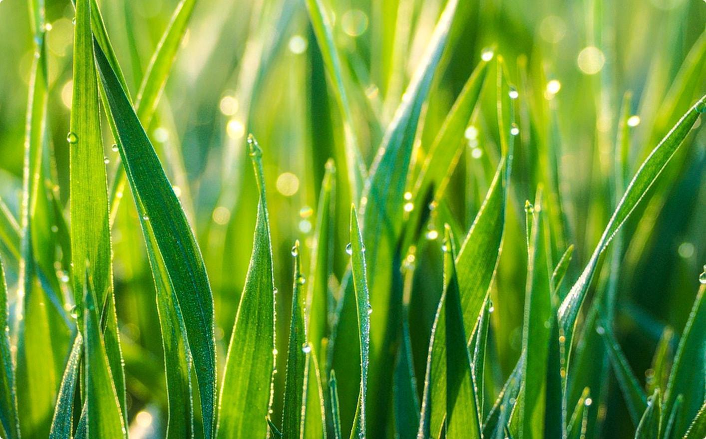 Sharpen an Image With Minimum Effort Using Luminar 4(3)