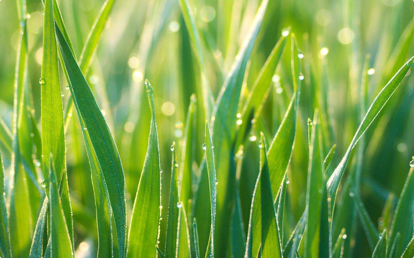 Sharpen an Image With Minimum Effort Using Luminar 4(2)