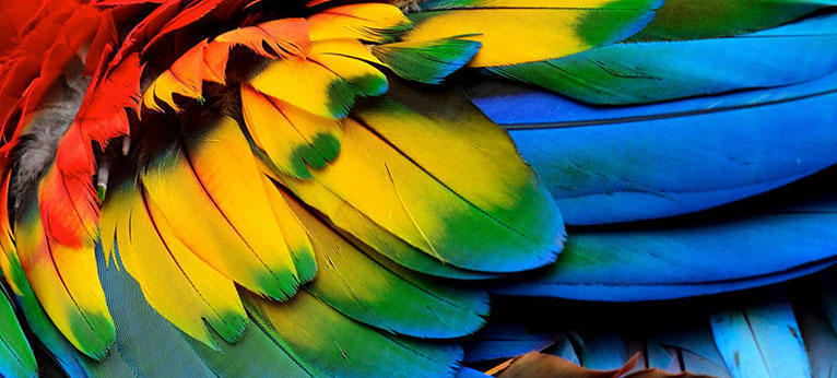 Five Steps to Remove a Background From an Image (9)