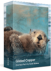 Let’s celebrate 4 years of Luminar Neo(39)