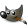 Gimp