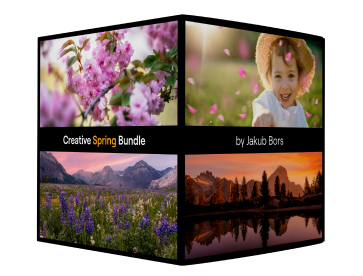 Creative Spring Bundle
