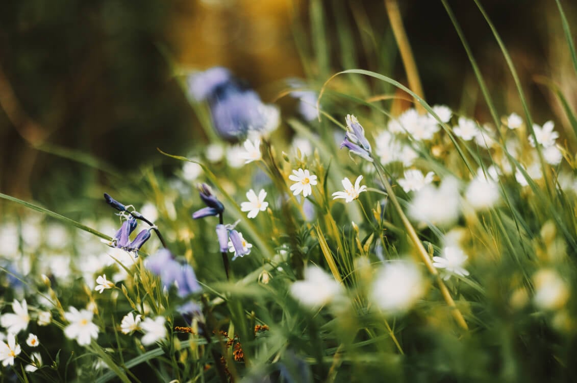 Creative Spring Bundle