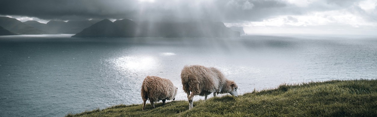 Free Lightroom Presets: Get it Right now (5)