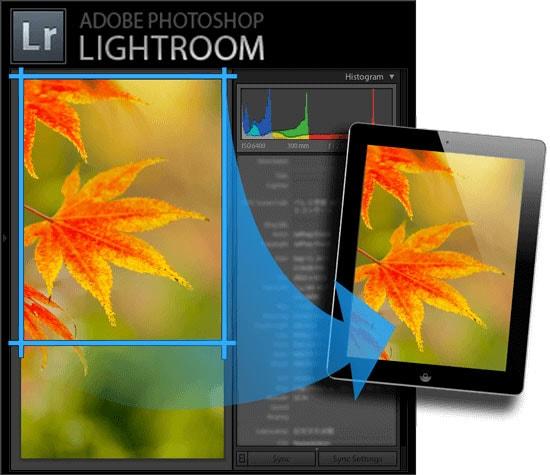 exiftool install lightroom exiftool install lightroom