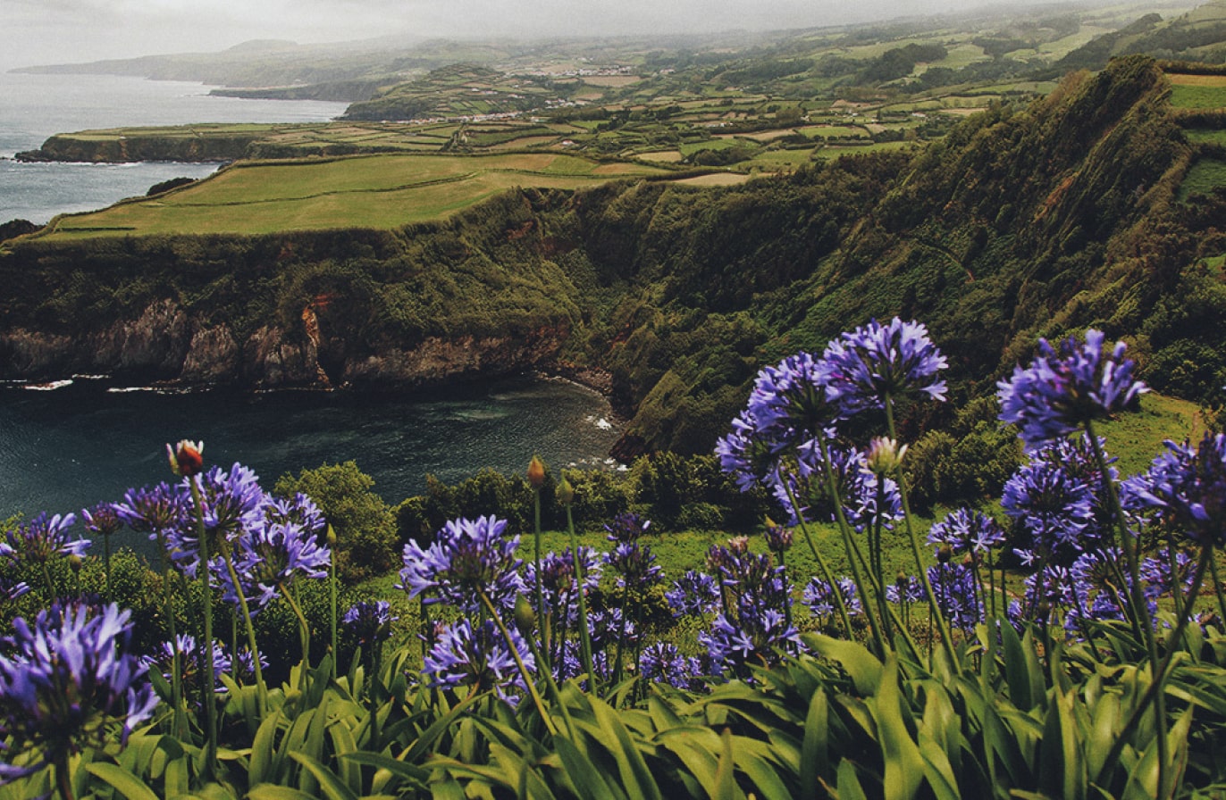 Buy Luminar | Skylum(95)