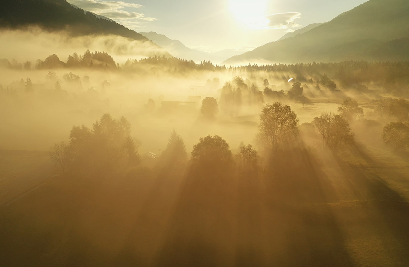 Buy Luminar | Skylum(86)