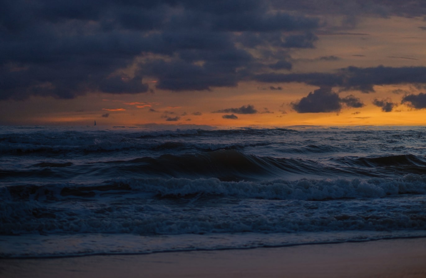 Buy Luminar | Skylum(89)