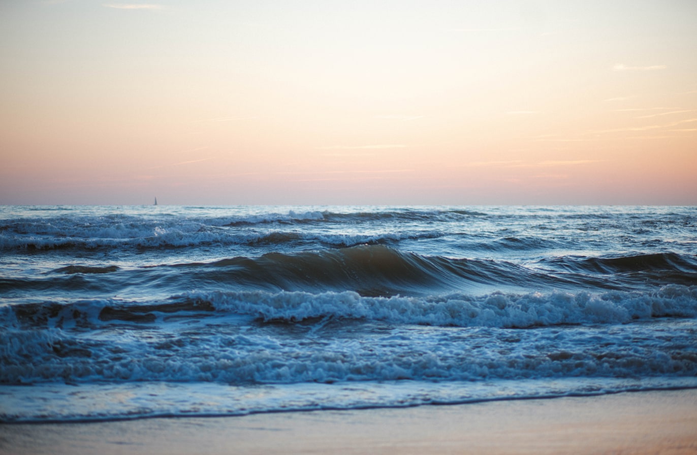 Buy Luminar | Skylum(88)