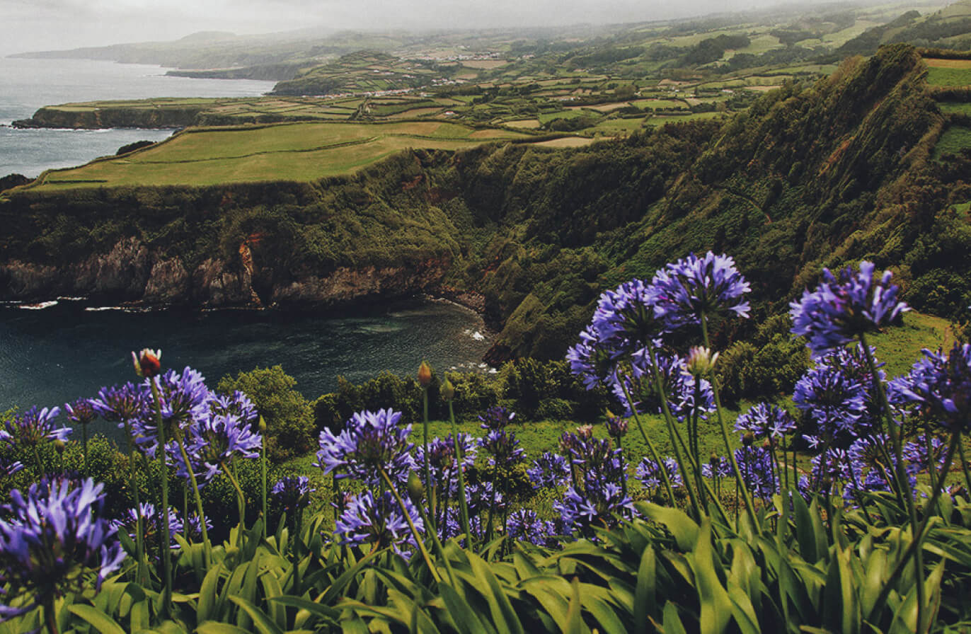 Buy Luminar | Skylum(103)