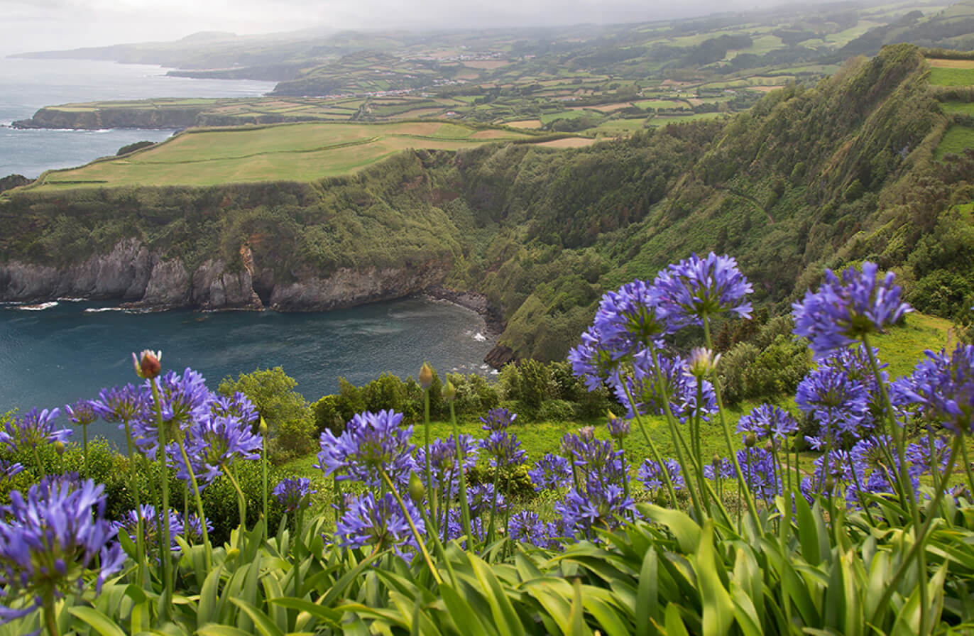 Buy Luminar | Skylum(102)