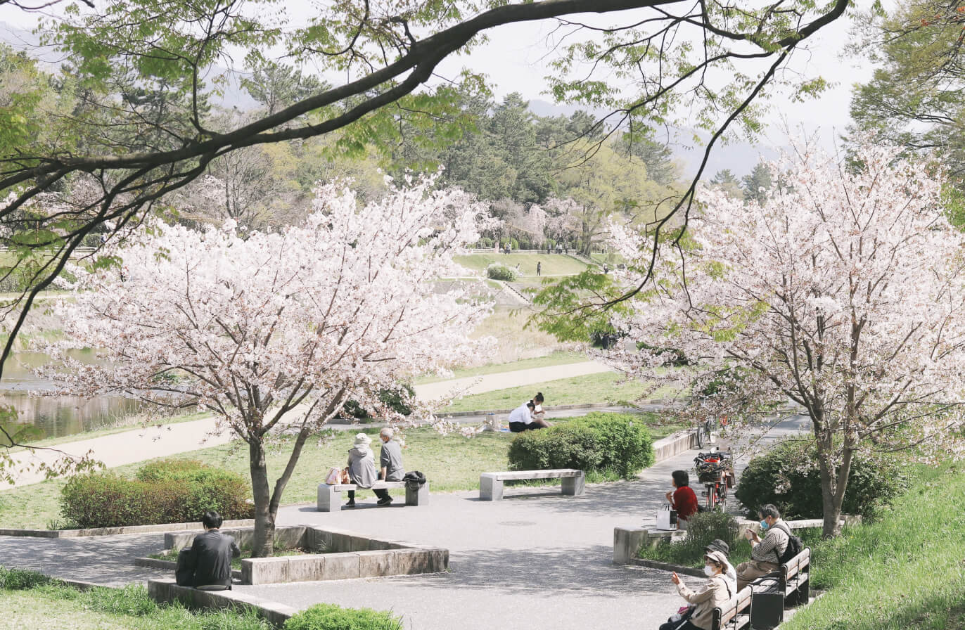 Buy Luminar | Skylum(121)