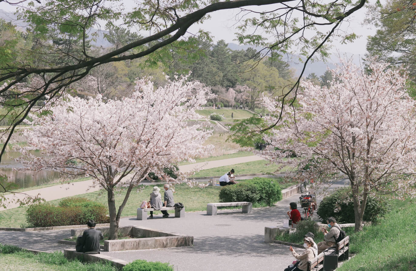 Buy Luminar | Skylum(120)