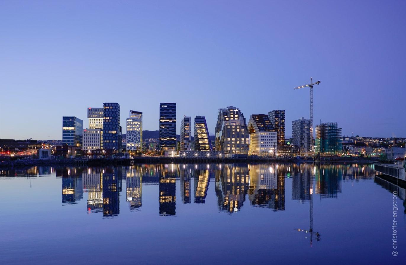 Acquista Luminar | Skylum(115)