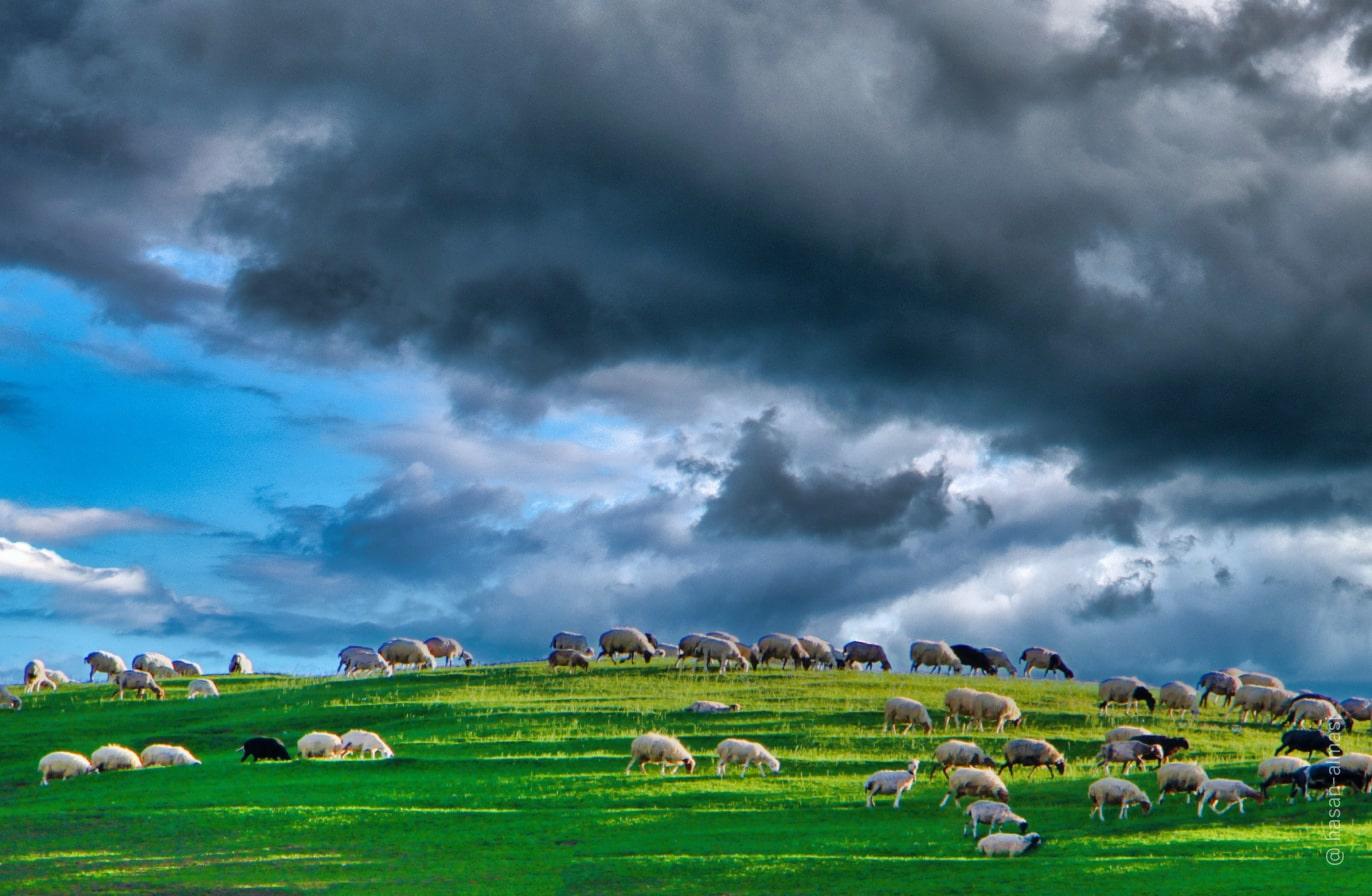 Acquista Luminar | Skylum(118)