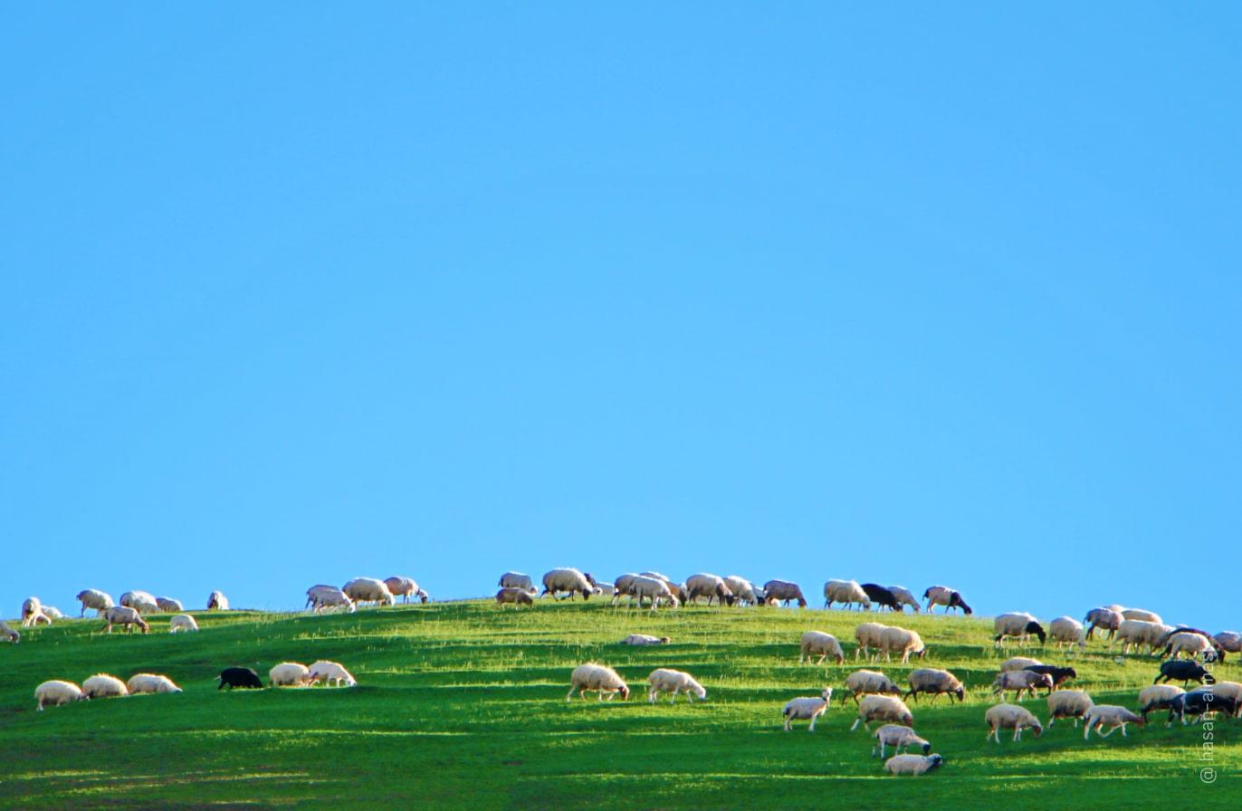 Acquista Luminar | Skylum(117)