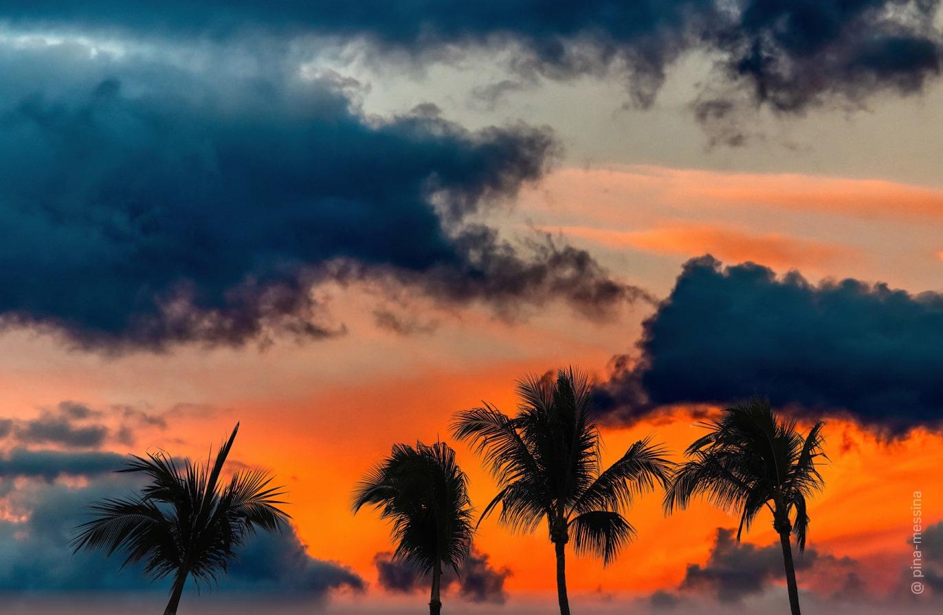 Acquista Luminar | Skylum(120)