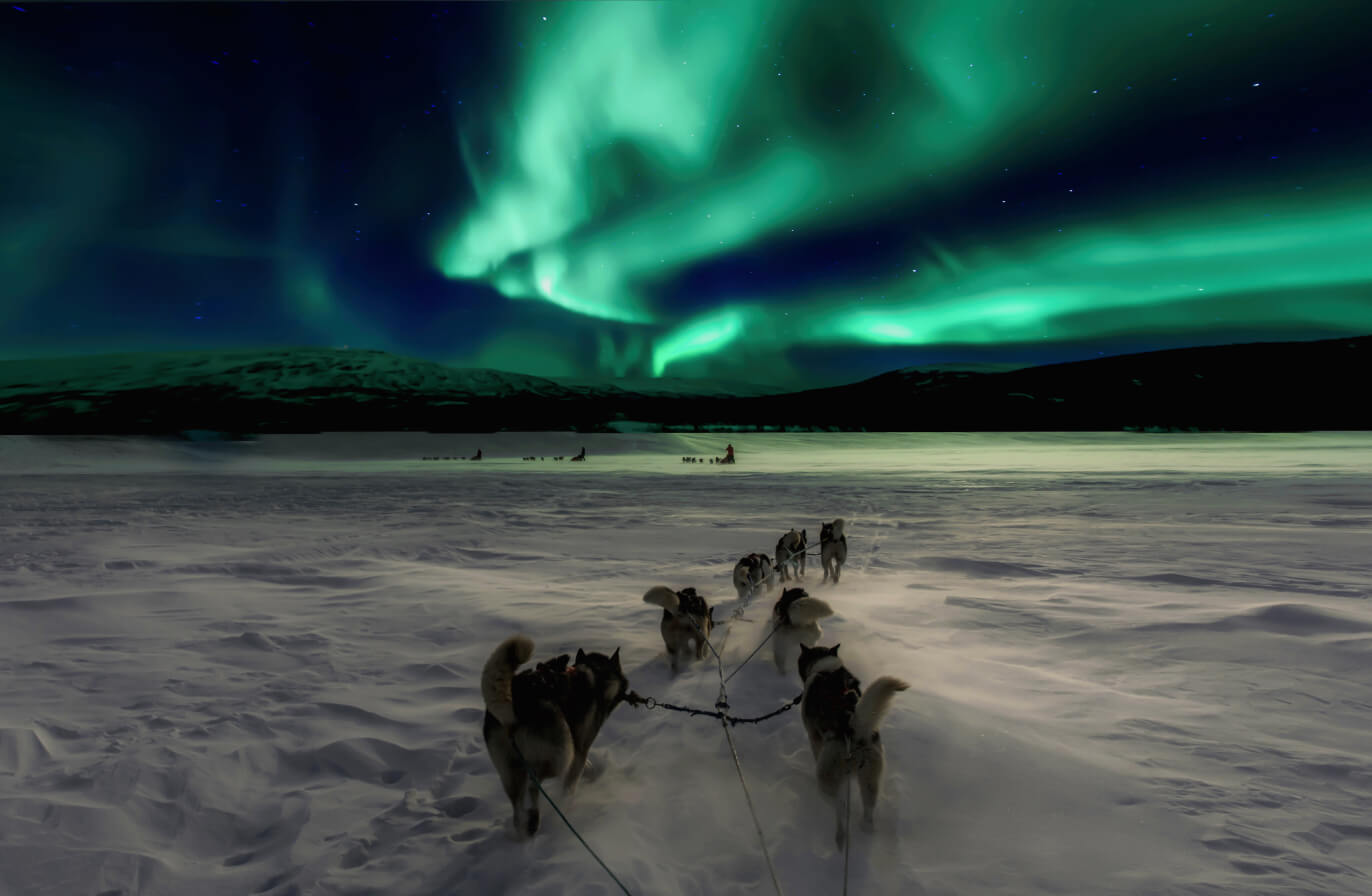 Buy Luminar | Skylum(68)