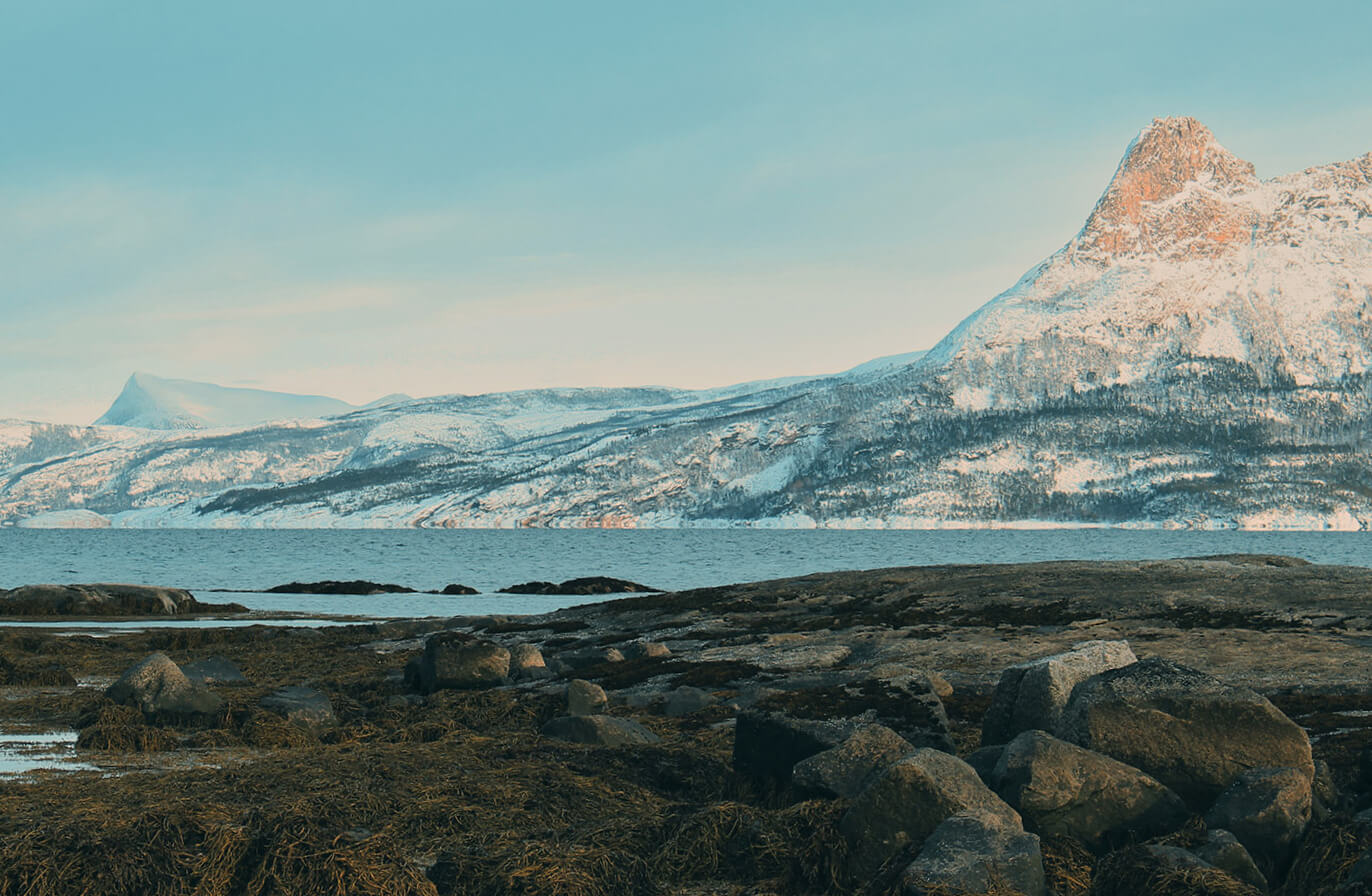 Buy Luminar | Skylum(70)