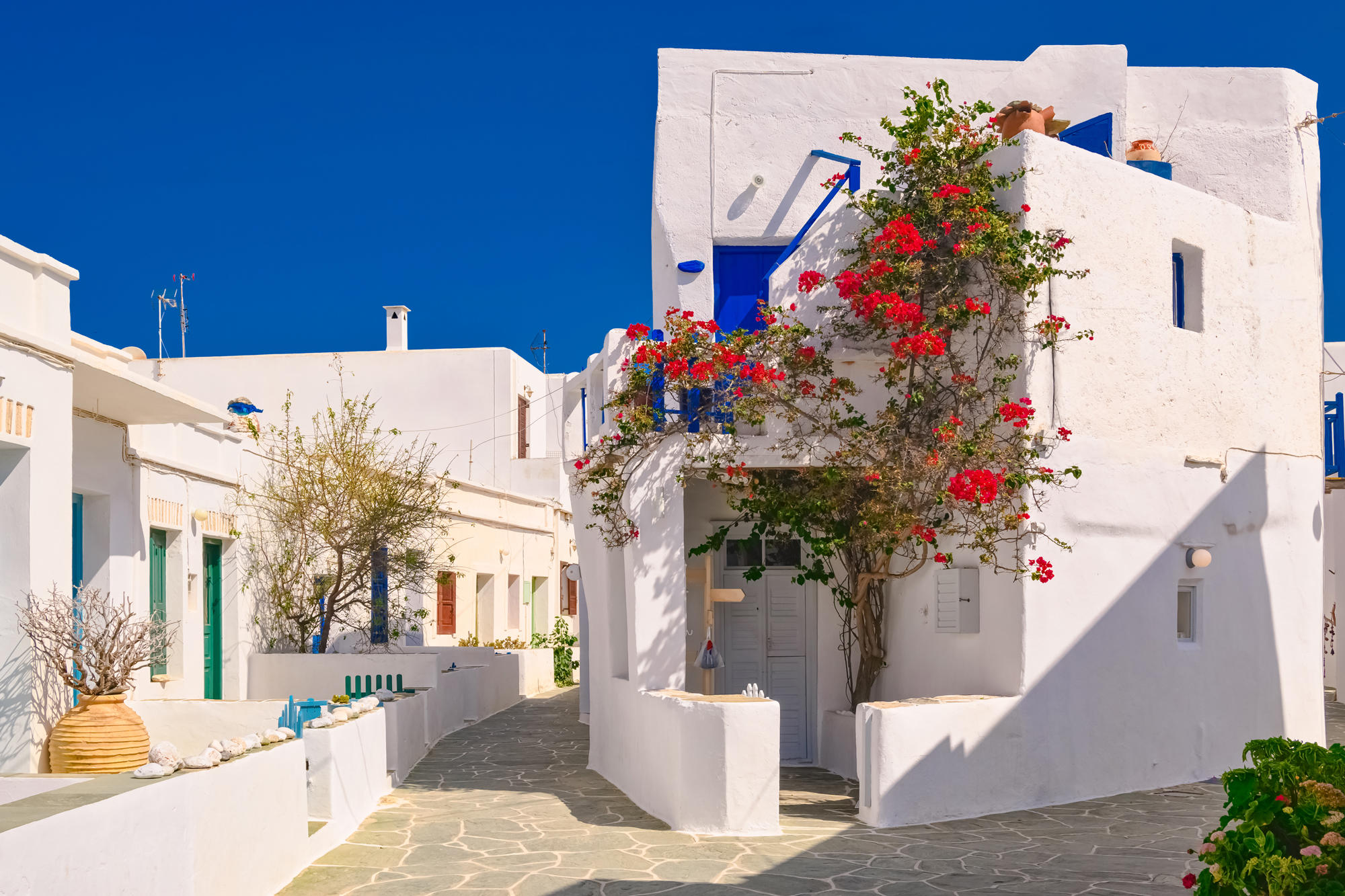 Photo Editor For Beginners | Luminar Neo(10)