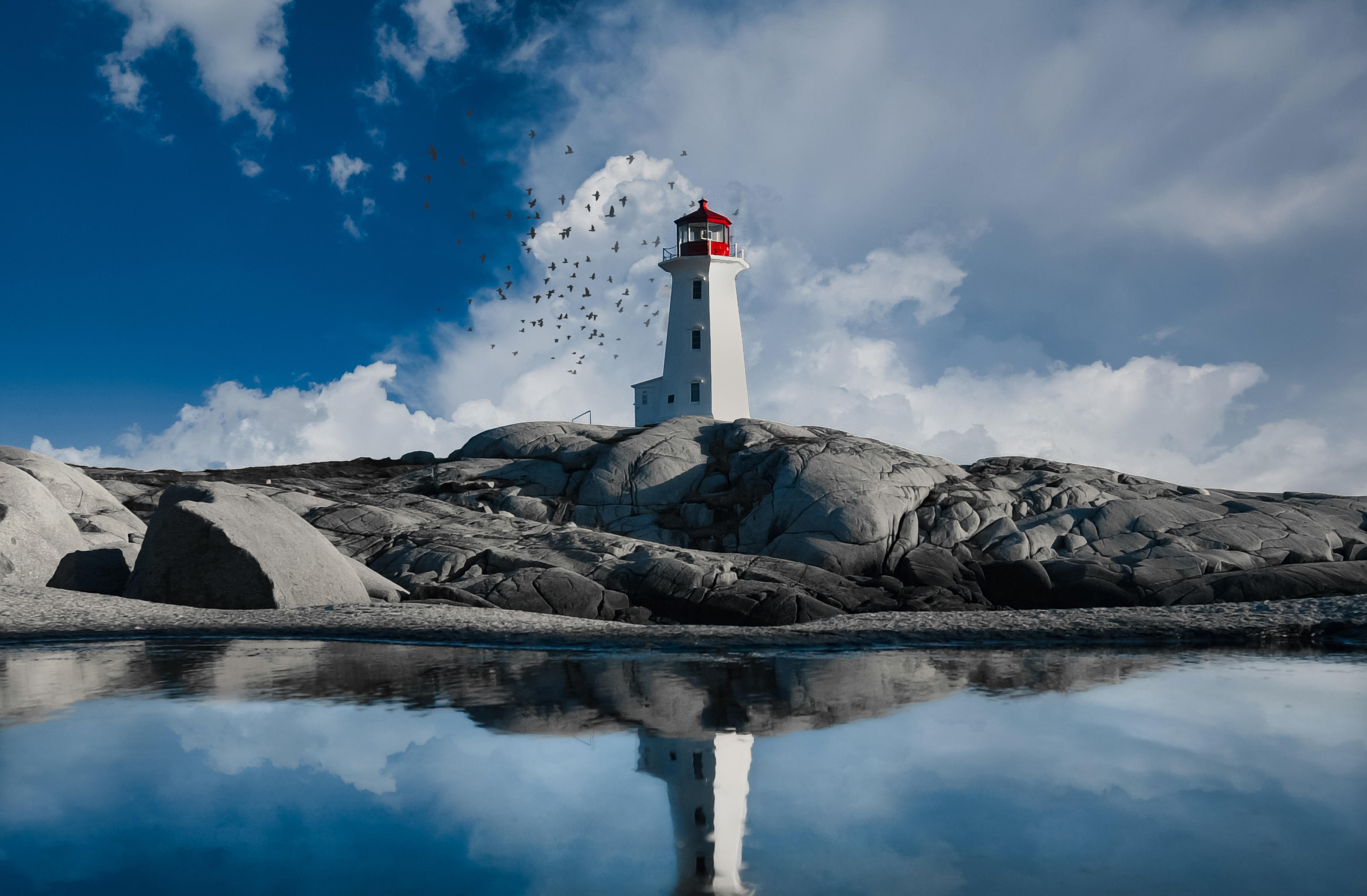 Buy Luminar | Skylum(127)