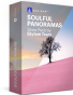Panoramische foto-stiksels: combineer afbeeldingen in één klik | Skylum(174)