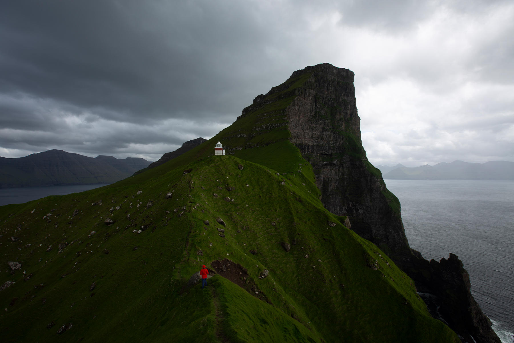 Buy Luminar | Skylum(218)