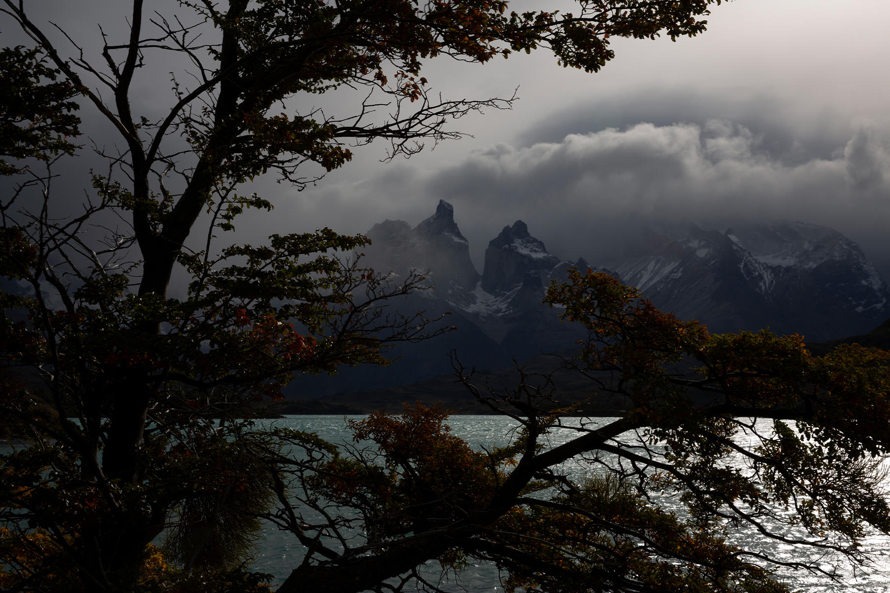 Buy Luminar | Skylum(222)