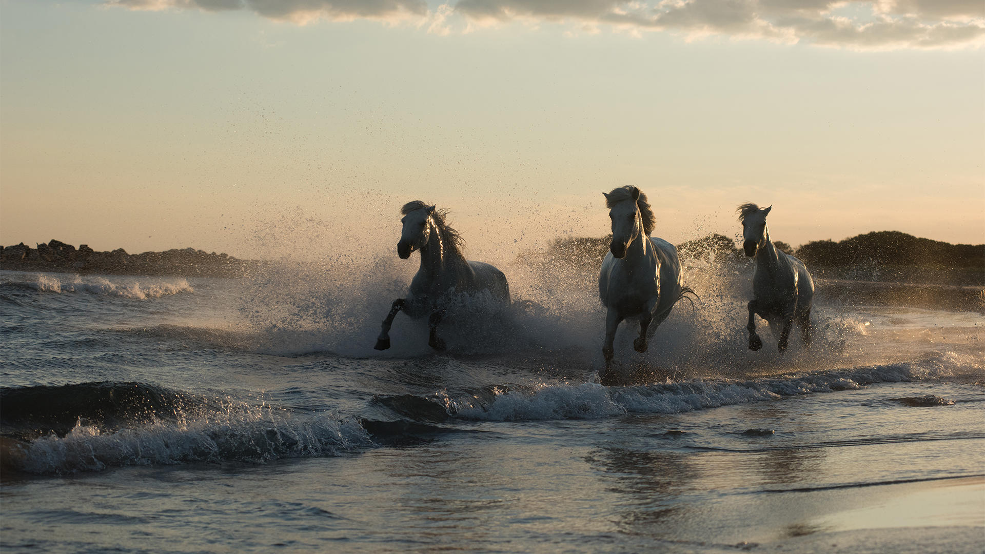 Buy Luminar | Skylum(130)