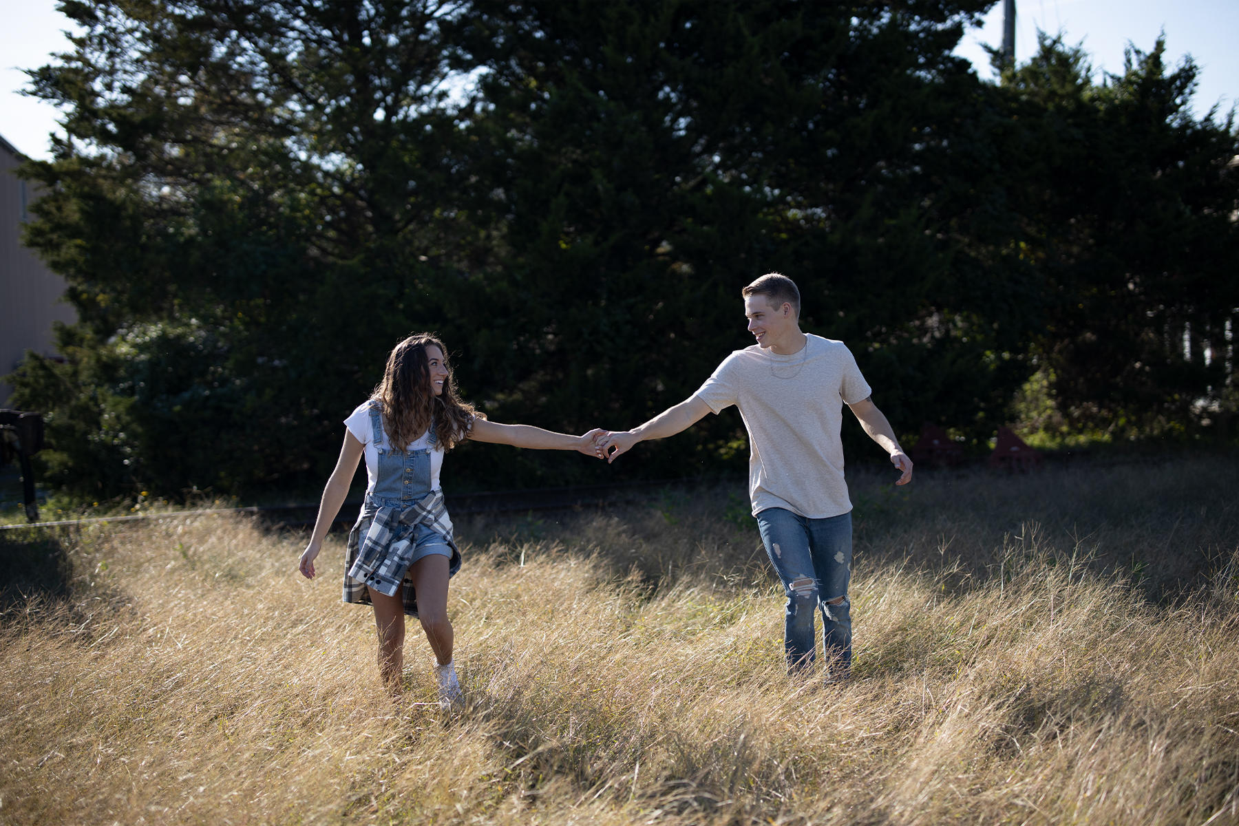 Buy Luminar | Skylum(305)