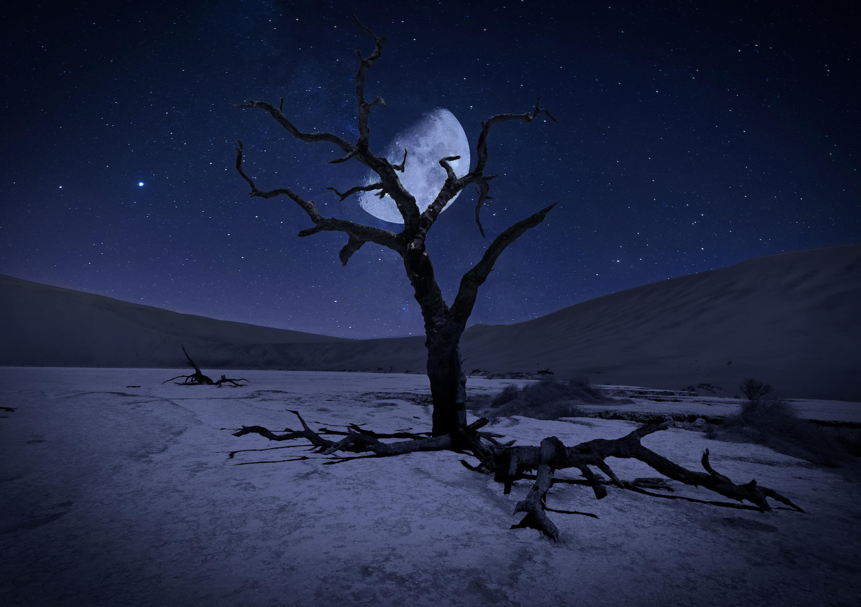 Photo Editor For Beginners | Luminar Neo(22)