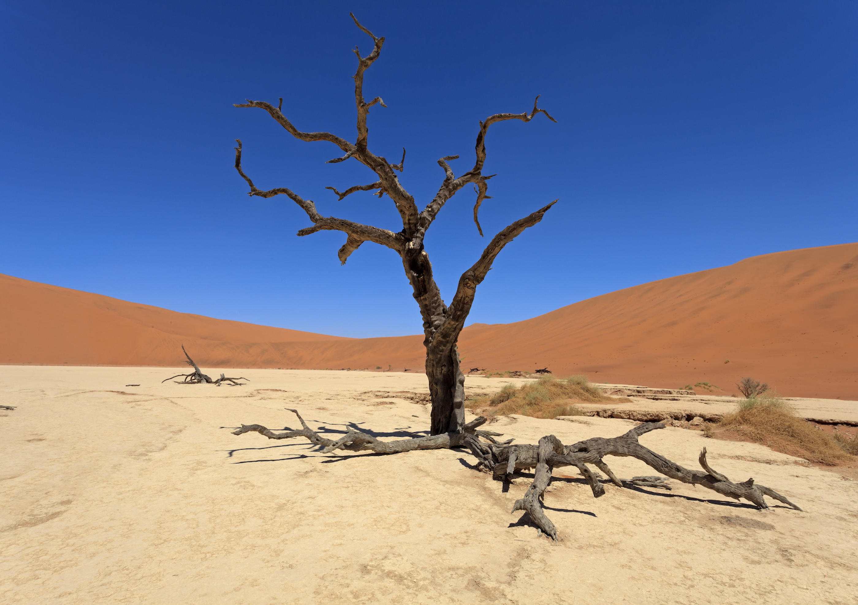 Photo Editor For Beginners | Luminar Neo(21)