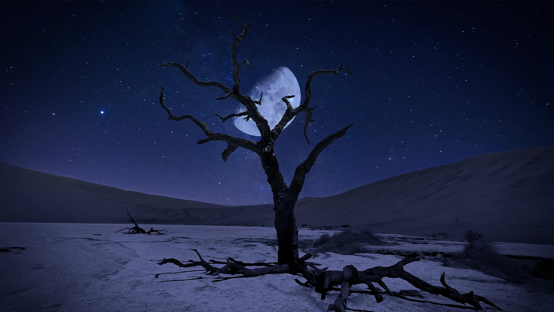 Buy Luminar | Skylum(135)