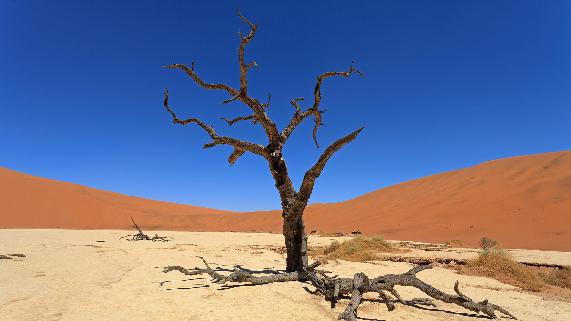 Buy Luminar | Skylum(134)