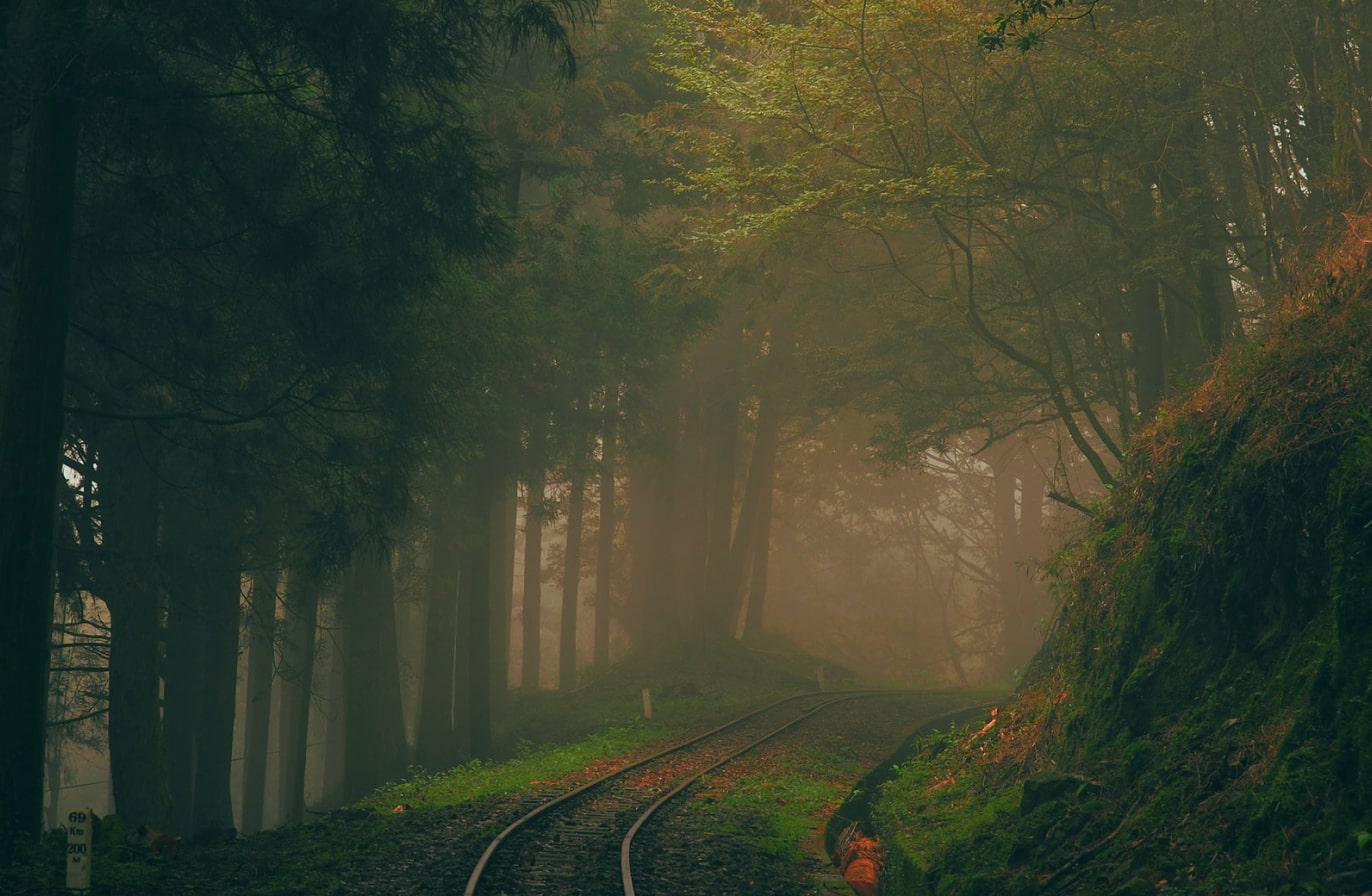 Buy Luminar | Skylum(52)