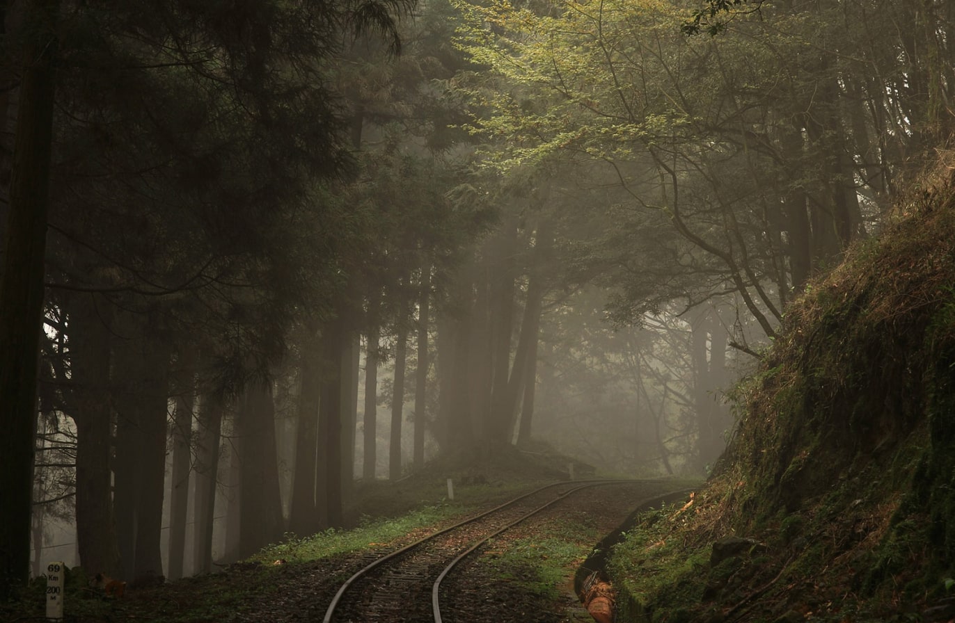 Buy Luminar | Skylum(51)