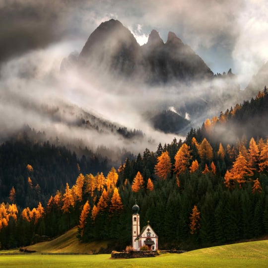 Forest Photography Masterclass Video Course by Max Rive(6)