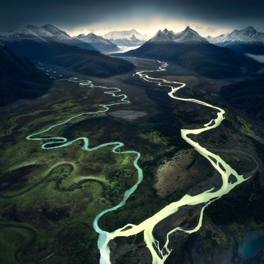 Forest Photography Masterclass Video Course by Max Rive(10)