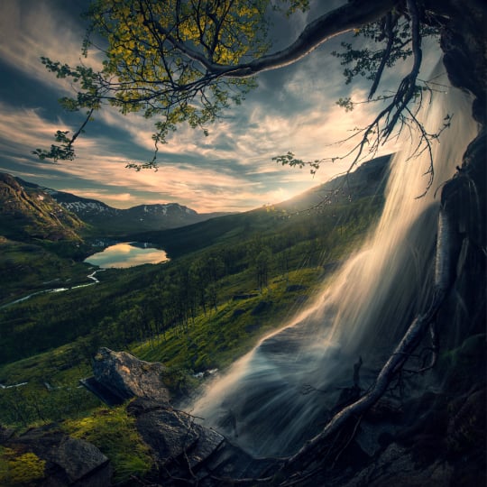 Forest Photography Masterclass Video Course by Max Rive(9)