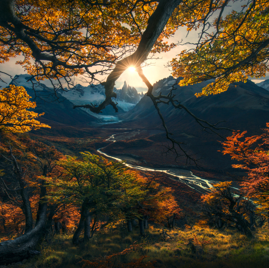 Forest Photography Masterclass Video Course by Max Rive(12)
