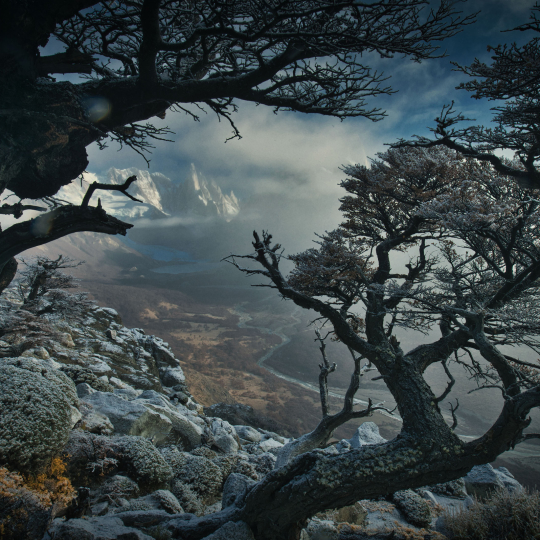 Forest Photography Masterclass Video Course by Max Rive(5)